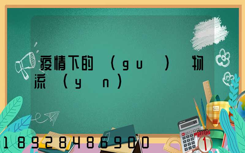 疫情下的國(guó)際物流運(yùn)輸