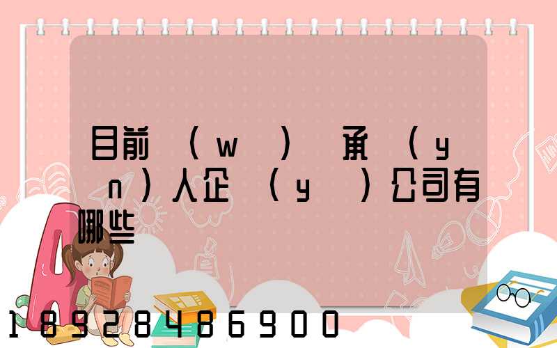 目前無(wú)車承運(yùn)人企業(yè)公司有哪些