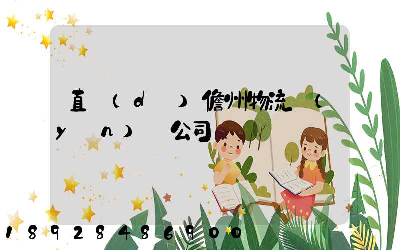 直達(dá)儋州物流運(yùn)輸公司