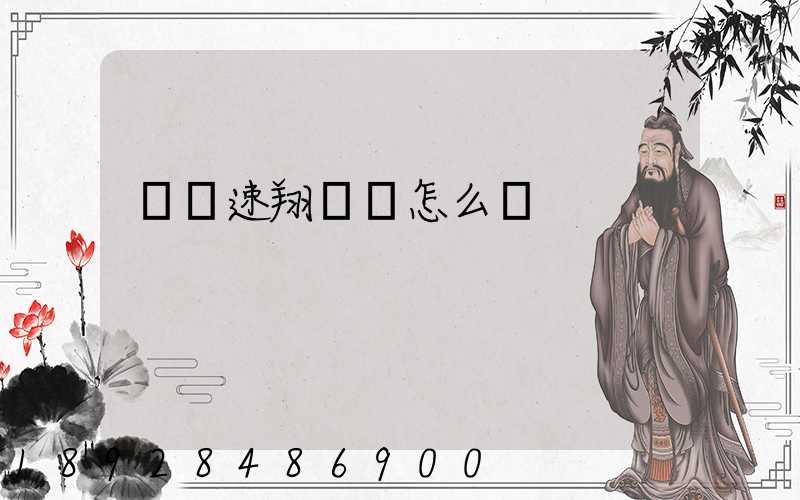 紹興速翔車隊怎么樣