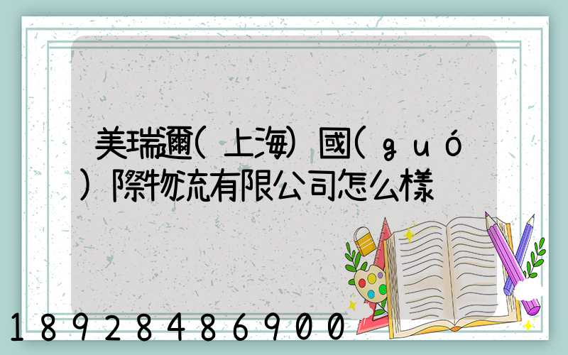 美瑞邇(上海)國(guó)際物流有限公司怎么樣