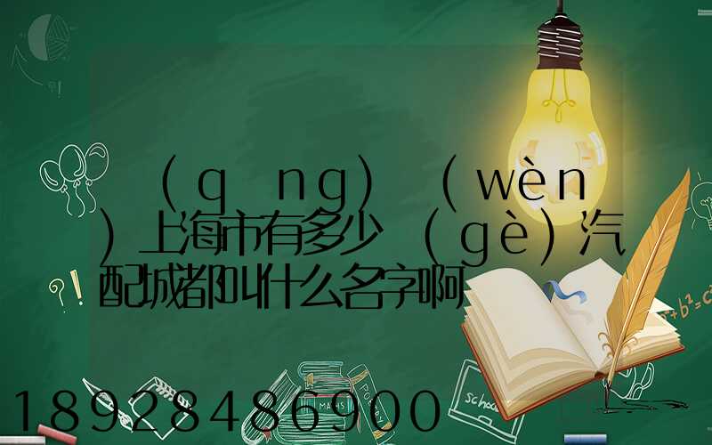 請(qǐng)問(wèn)上海市有多少個(gè)汽配城都叫什么名字啊