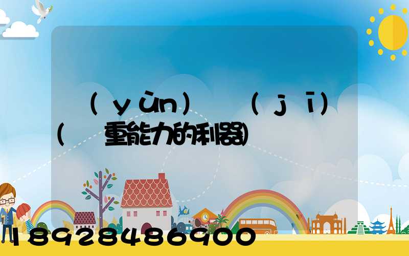 運(yùn)輸機(jī)(載重能力的利器)
