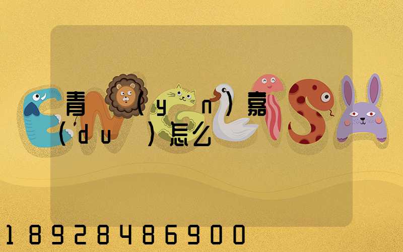 青島運(yùn)嘉滿車隊(duì)怎么樣